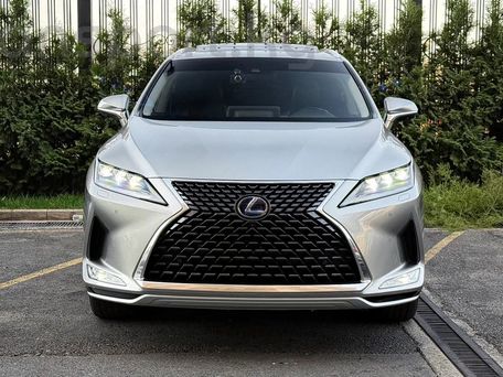 Lexus RX, 2020 — фото 2