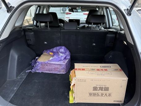 Toyota RAV4, 2024 — photo 8