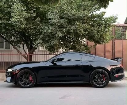 Ford Mustang, 2021 — photo 9