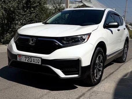 Honda CR-V, 2019 — фото 1