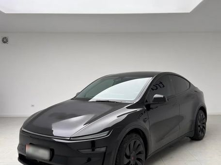 Tesla Model Y, 2025 — фото 8