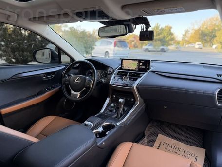 Lexus NX, 2019 — photo 9