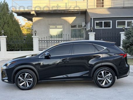 Lexus NX, 2019 — photo 5