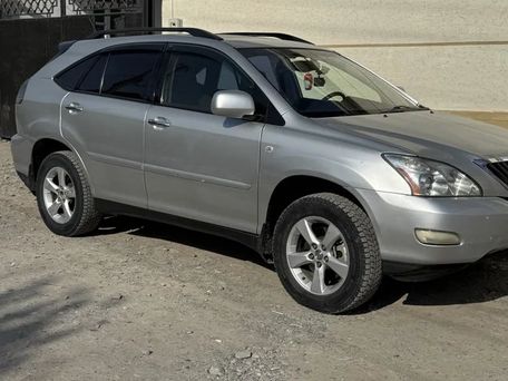 Lexus RX, 2008 — photo 5