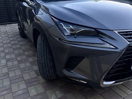Lexus NX, 2021 — фото 3