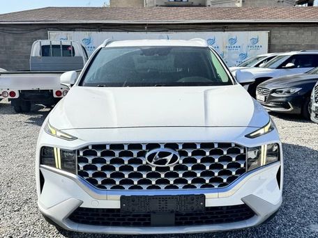 Hyundai Santa Fe, 2021 — фото 1