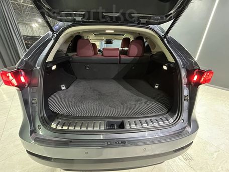 Lexus NX, 2021 — photo 5