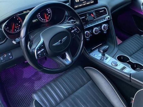 Hyundai Genesis, 2019 — photo 2