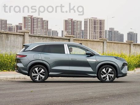 BYD Tang L, 2026 — photo 11