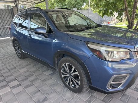 Subaru Forester, 2019 — фото 1