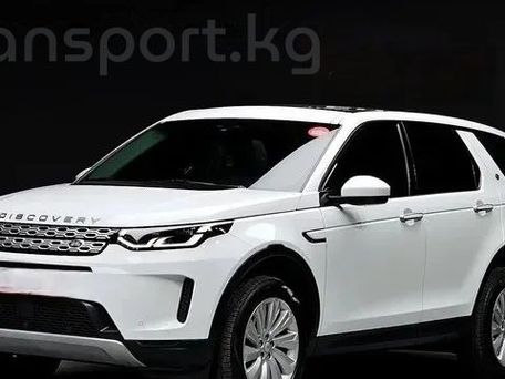 Land Rover Discovery Sport, 2020 — фото 1