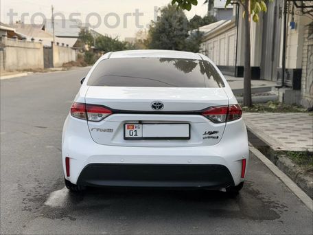 Toyota Levin, 2023 — 照片 5