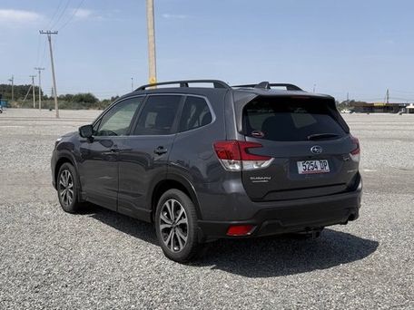 Subaru Forester, 2020 — фото 6