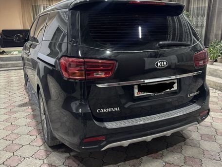 Kia Carnival, 2019 — photo 3