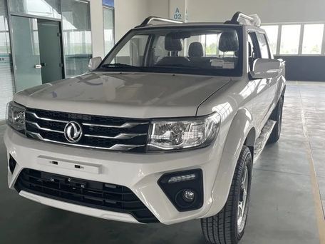 Dongfeng Rich, 2026 — photo 2