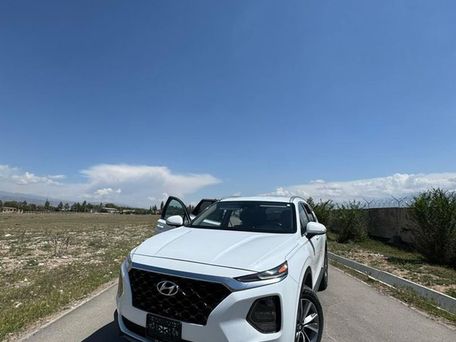 Hyundai Santa Fe, 2018 — фото 1