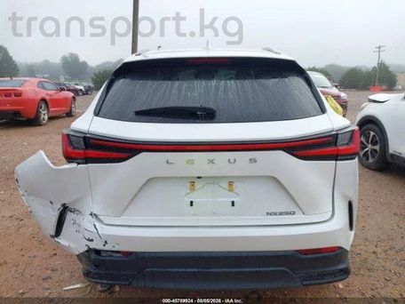 Lexus NX, 2022 — сүрөт 6