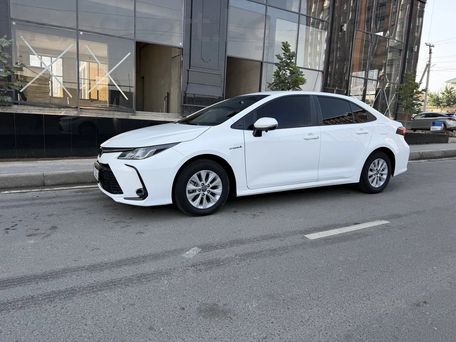 Toyota Corolla, 2019 — фото 1