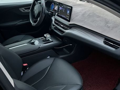 BYD E9, 2024 — 照片 7
