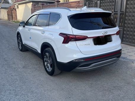 Hyundai Santa Fe, 2020 — фото 2