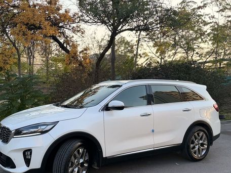 Kia Sorento, 2020 — photo 7