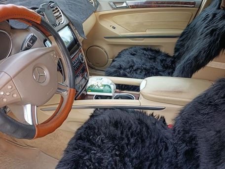 Mercedes-Benz GL-Класс, 2007 — сүрөт 6