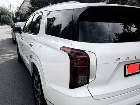 Hyundai Palisade, 2020 — фото 6