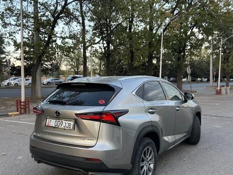 Lexus NX, 2018 — сүрөт 4