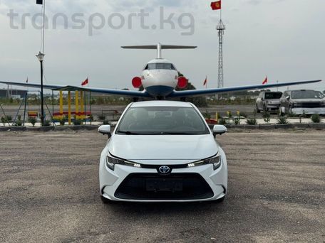 Toyota Corolla, 2020 — сүрөт 1