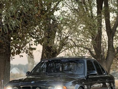 BMW 5 Series, 1994 — photo 11
