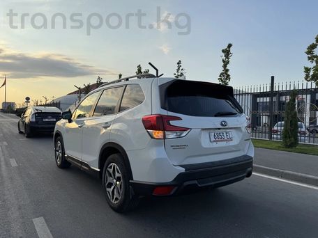 Subaru Forester, 2021 — сүрөт 5