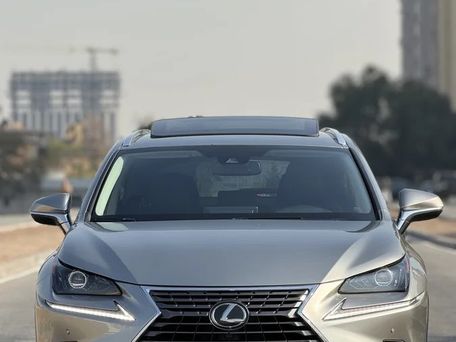 Lexus NX, 2018 — photo 3