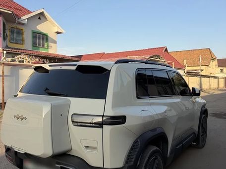 BYD FangChengBao Leopard 5, 2025 — photo 4