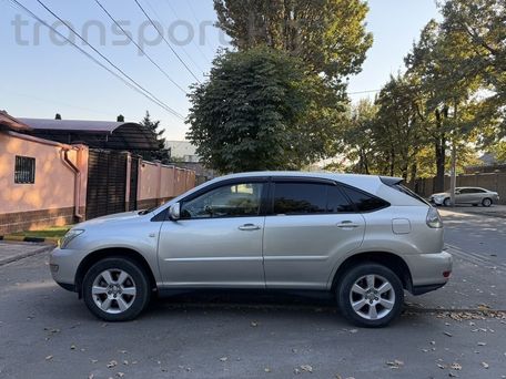 Lexus RX, 2003 — 照片 7