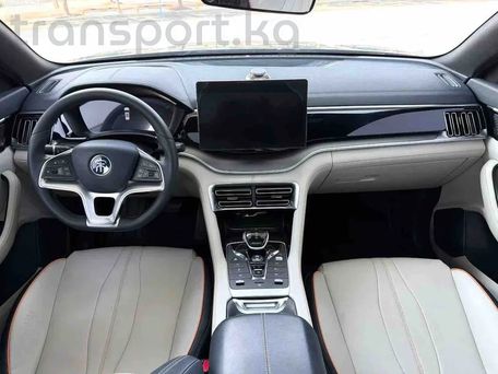 BYD Song Plus, 2021 — сүрөт 3