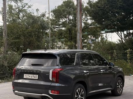 Hyundai Palisade, 2020 — сүрөт 4
