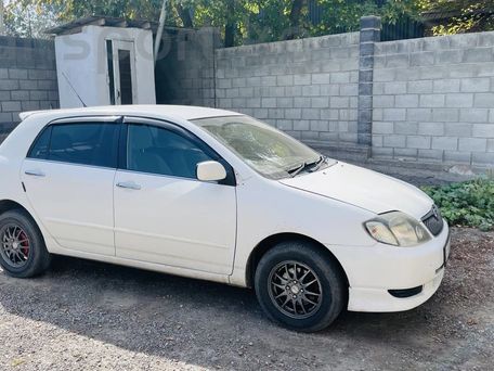 Toyota Allex, 2002 — photo 1