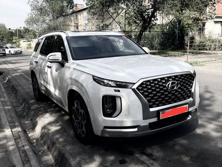 Hyundai Palisade, 2020
