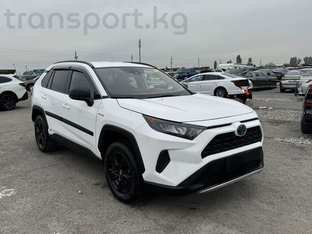 Toyota RAV4, 2019 — photo 1
