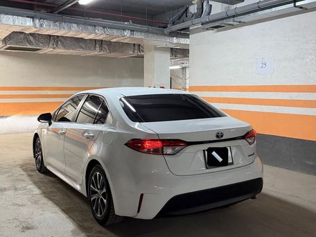 Toyota Levin, 2023 — photo 3