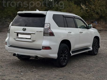 Lexus GX, 2019 — фото 6