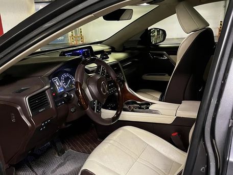 Lexus RX, 2017 — фото 10