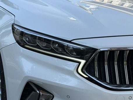 Kia Cadenza, 2019 — фото 10