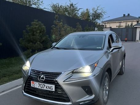 Lexus NX, 2021 — сүрөт 1