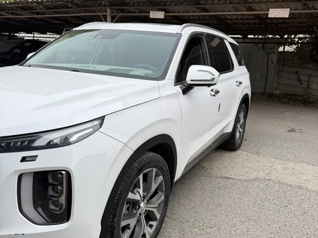 Hyundai Palisade, 2021 — фото 3