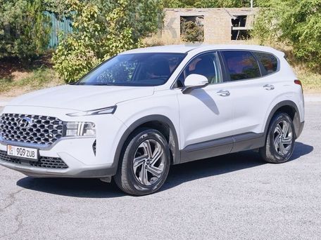 Hyundai Santa Fe, 2020 — 照片 12