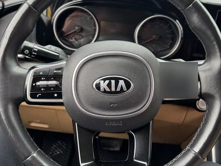 Kia Carnival, 2020 — фото 4