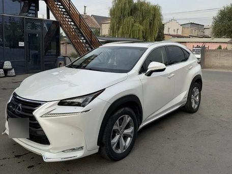 Lexus NX, 2021