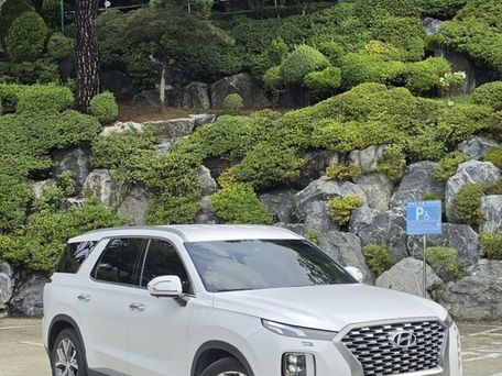 Hyundai Palisade, 2021 — фото 1