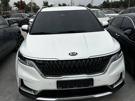 Kia Carnival, 2021 — фото 11